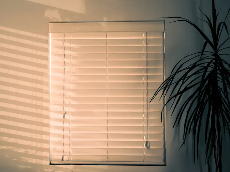 Blinds & Shutters